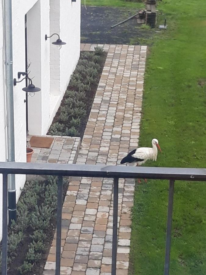 Ferienwohnung Storchennest Bad Rothenfelde Exterior foto